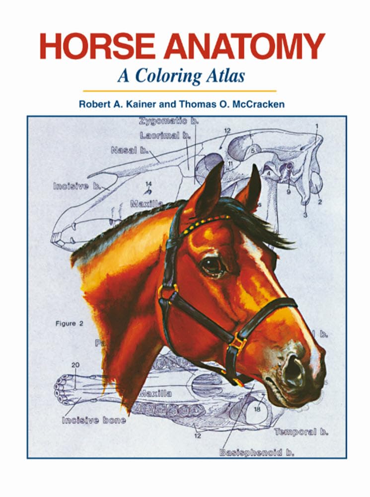 Horse Anatomy: A Colouring Atlas