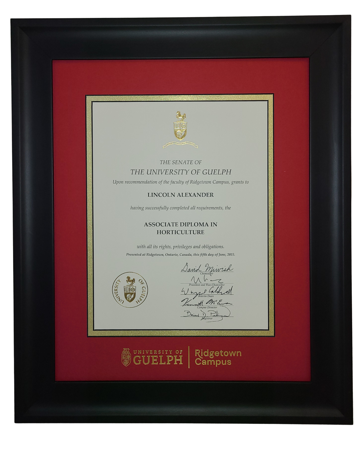 Diploma Frames (on campus pick up)