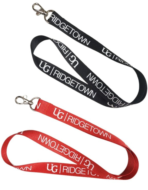 Lanyard
