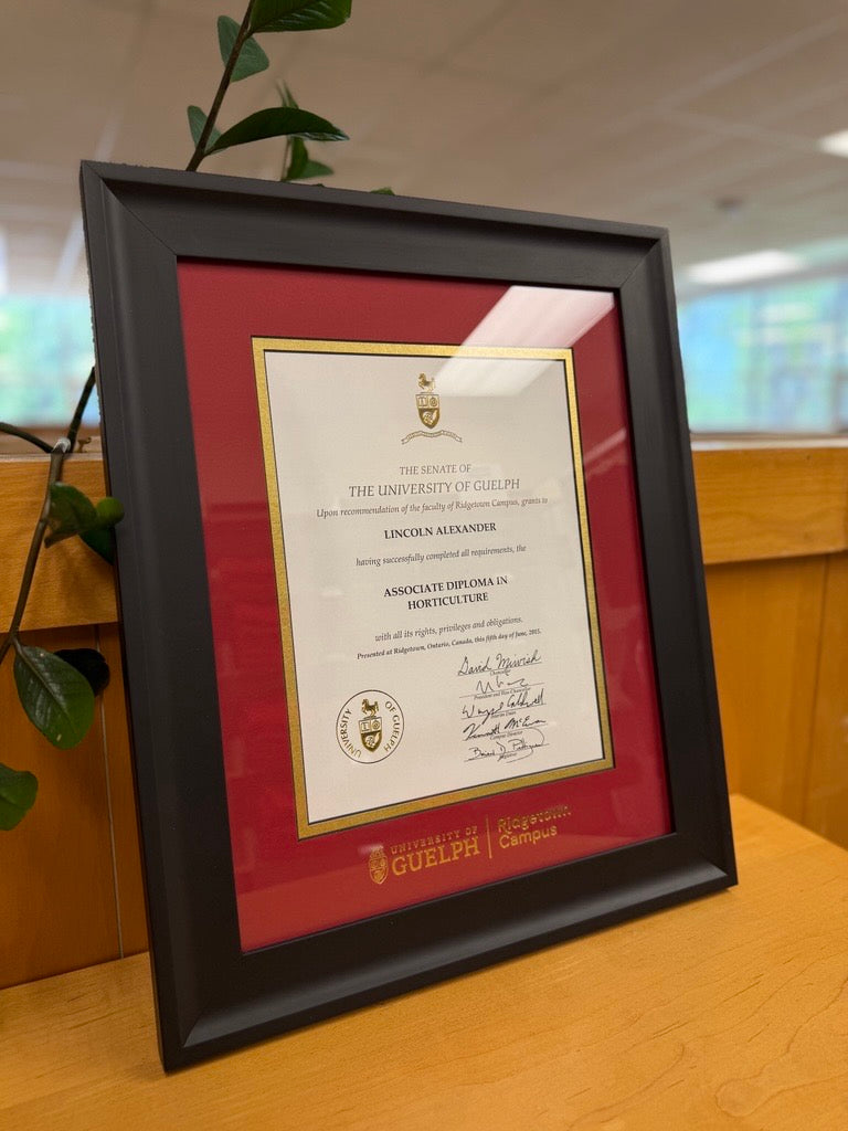Graduation Frames