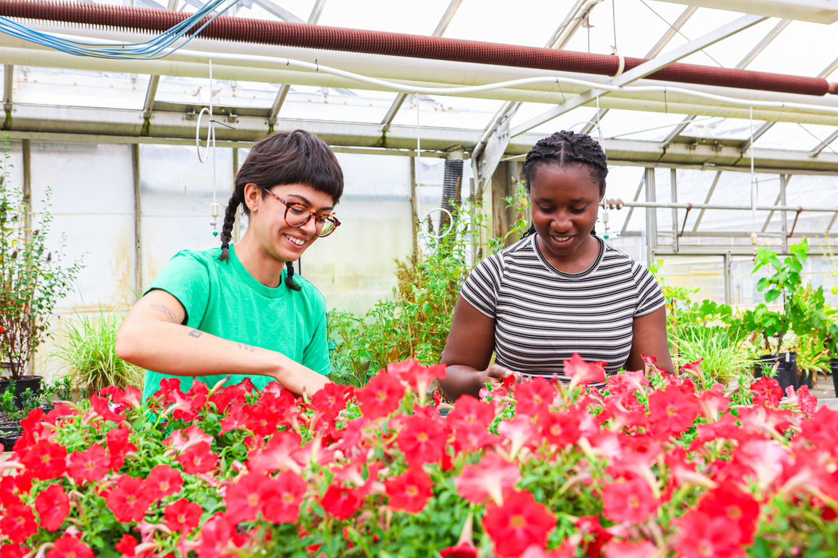 Horticulture - Semester 1