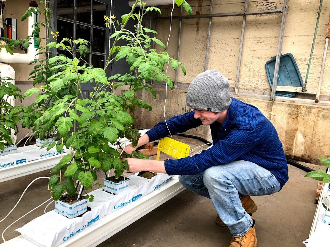 Horticulture - Semester 3