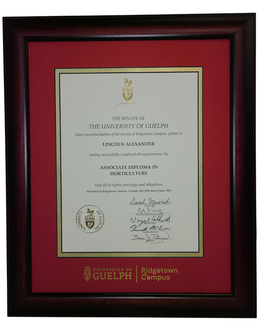 Diploma Frames (on campus pick up)